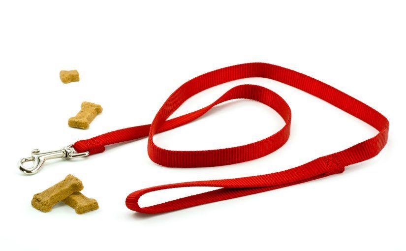 Tired of Boring Promotional Products? Try a Customized Dog Leash